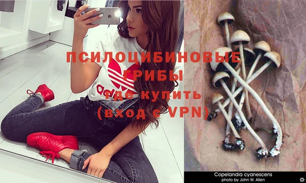 метамфетамин Богородицк