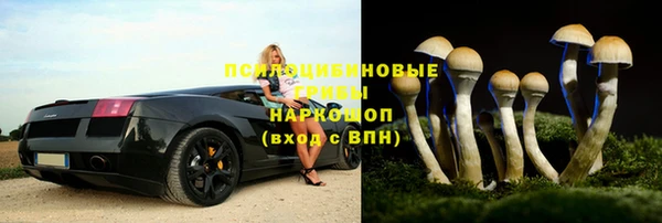 бошки Бронницы