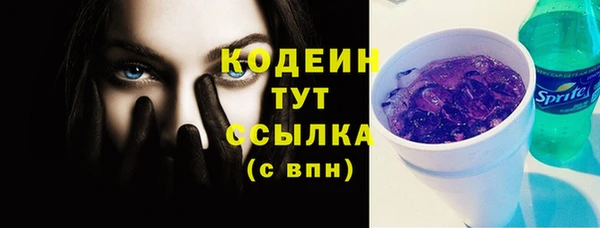спайс Богданович