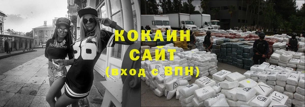 спайс Богданович