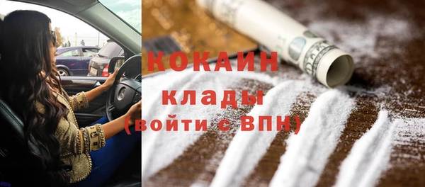 мет Бородино