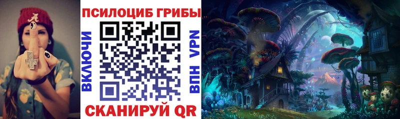 Купить закладки  Починок  Псилоцибиновые грибы мухоморы 